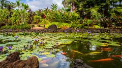 Waimea Valley Park