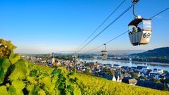 Rüdesheim am Rhein und die umliegenden Weinberge