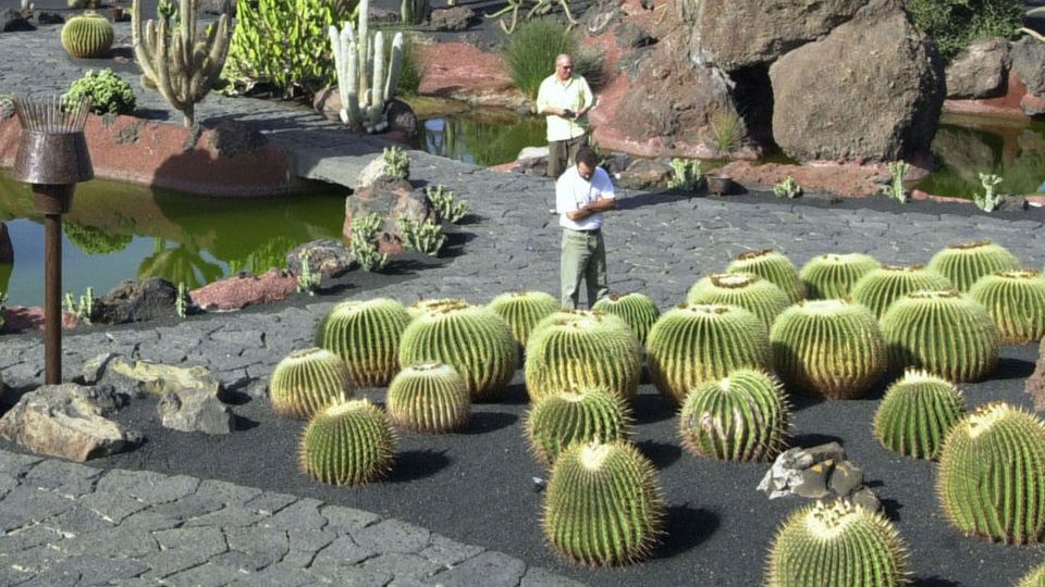 Kaktusgarten von Cesar Manrique, Lanzarote