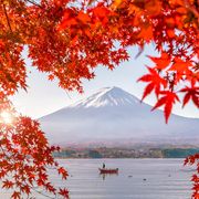 Fuji Berg Japan ©f11photo, AdobeStock Fuji Berg Japan