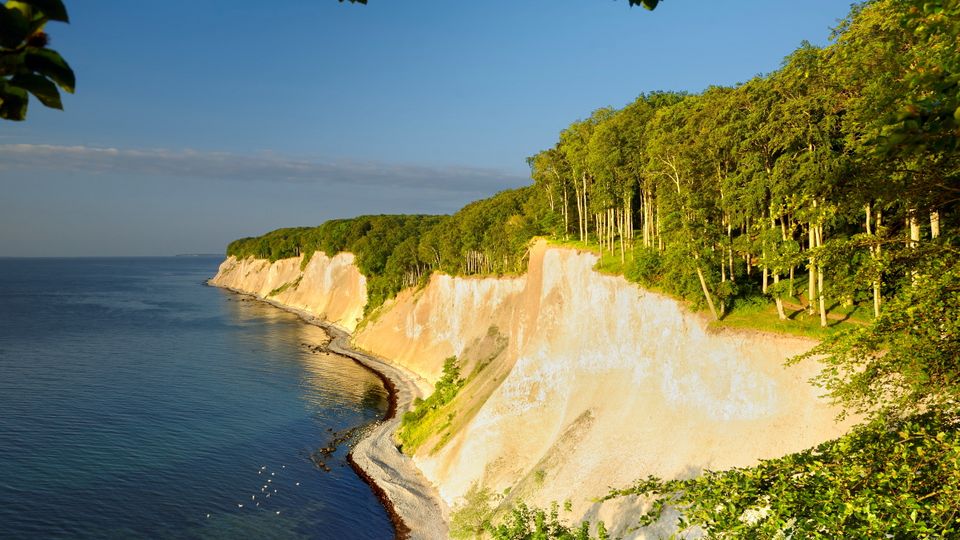 Buchenwälder über den Kreidefelsen im Nationalpark Jasmund