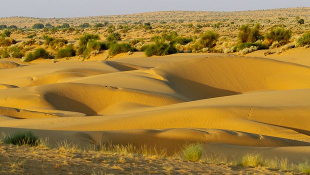 Thar Wüste