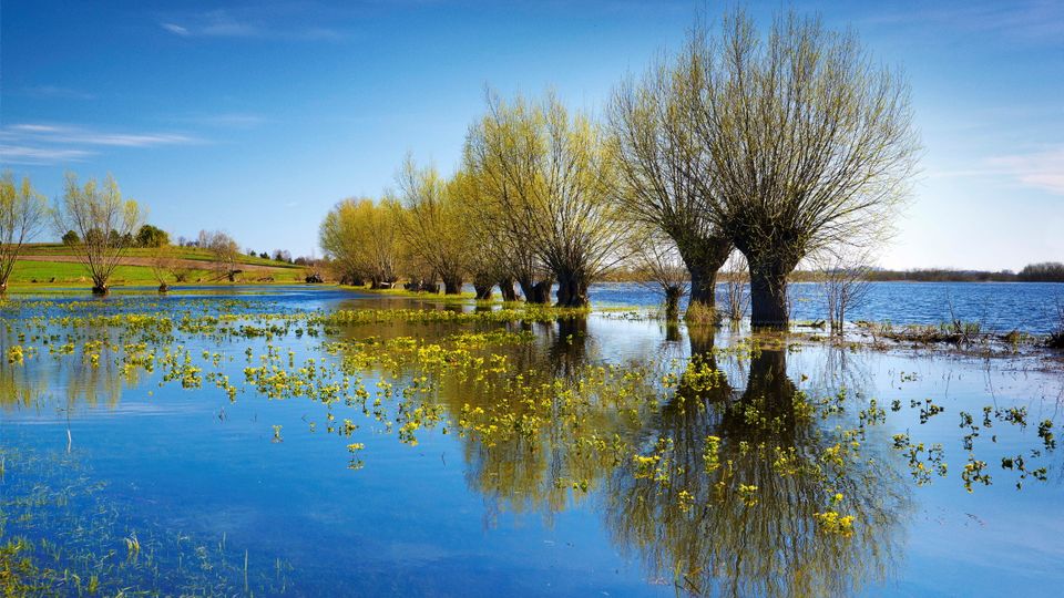Frühling an der Oder 