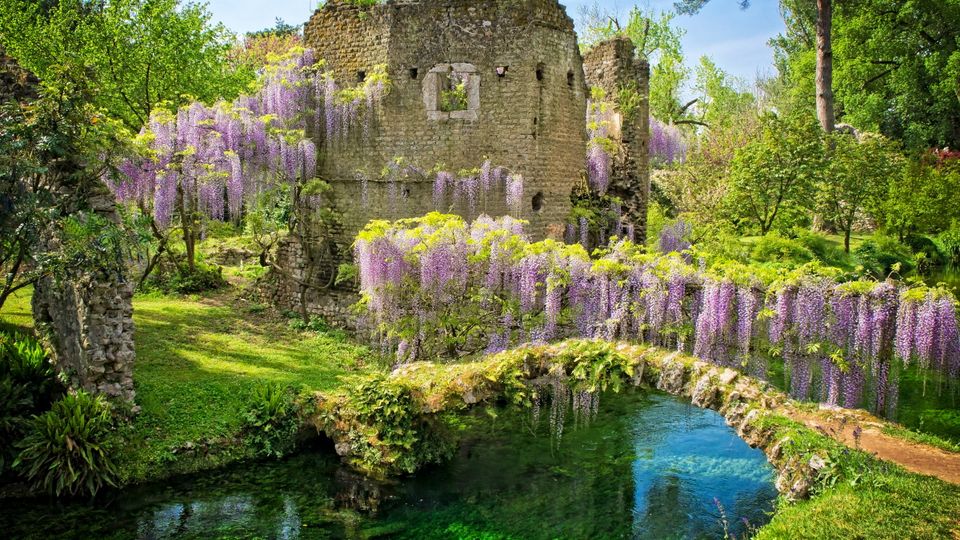The Nymph Garden