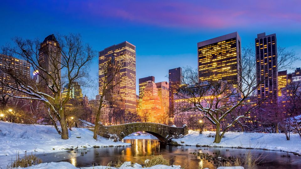 Central Park im Winter