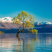 Lake Wanaka ©Martin Valigursky, AdobeStock Lake Wanaka