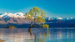 Lake Wanaka