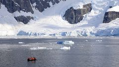 MS Hamburg, Zodiacs Paradise Harbor Antarctica