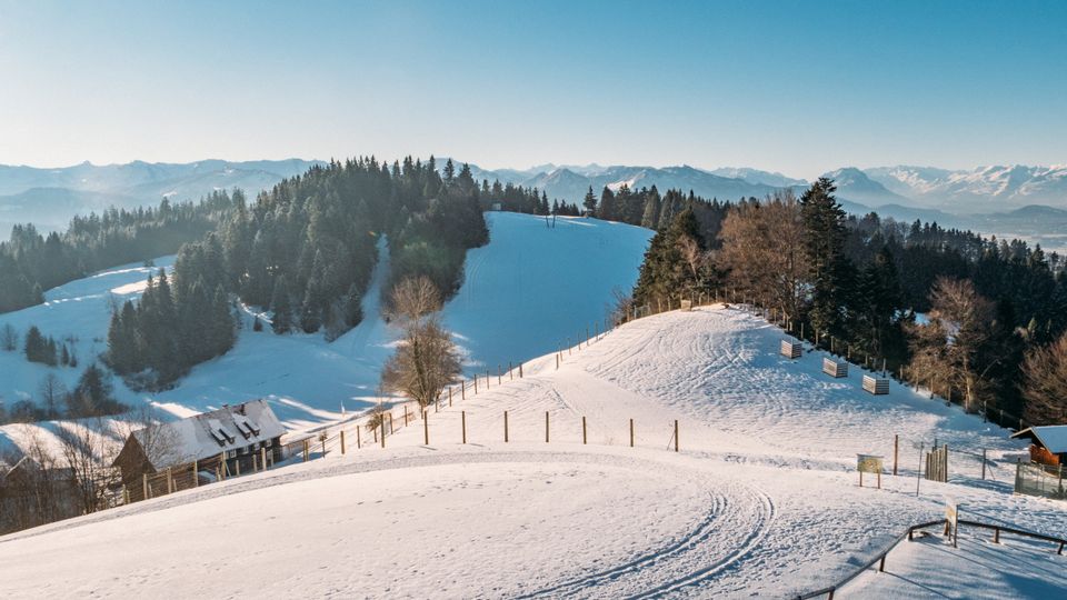 Blick auf Pfänderdohle 