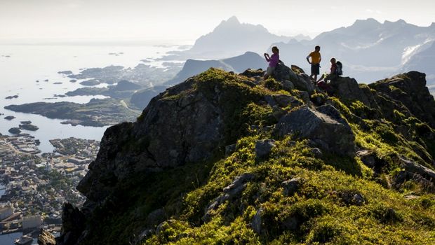 Berge und Pflanzenwelt auf den Lofoten 