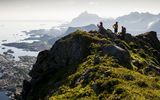 Berge und Pflanzenwelt auf den Lofoten 
