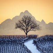 Winter in der Langhe-Region