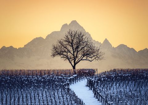 Winter in der Langhe-Region