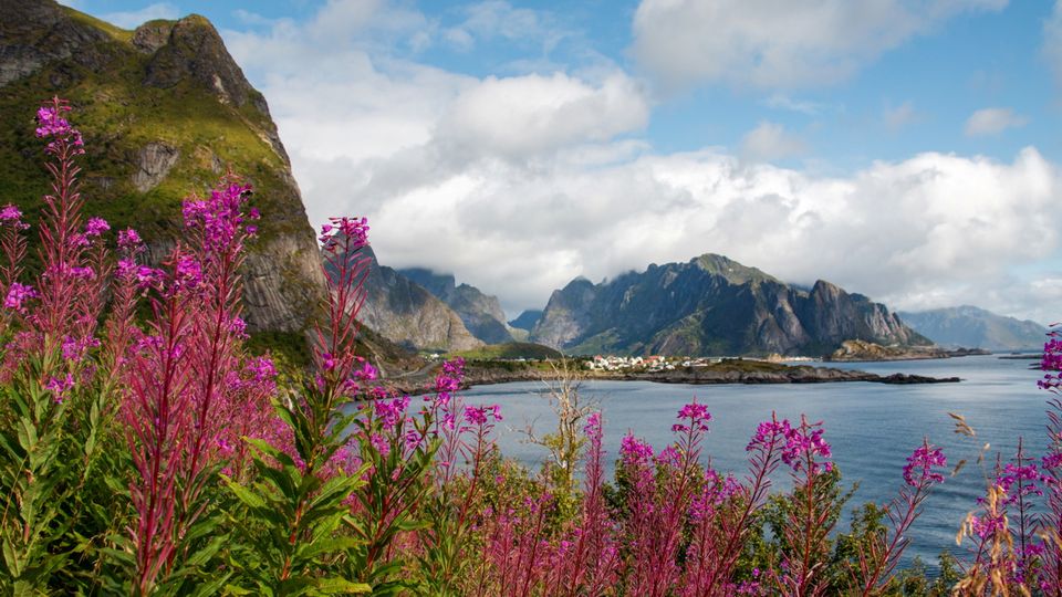 Reine auf den Lofoten