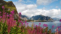 Reine auf den Lofoten