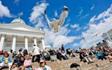 479_._Helsinki_Seagull_and_Cathedral_c_
