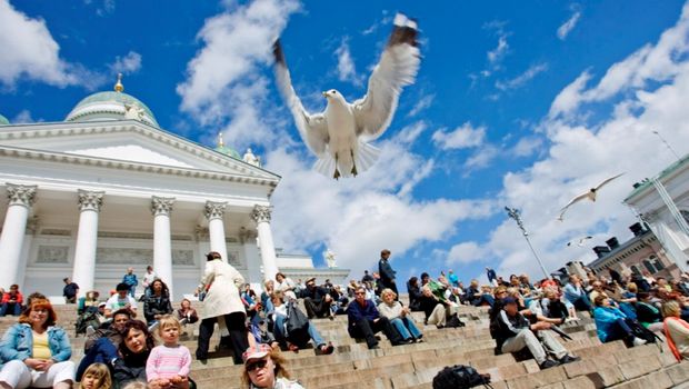 479_._Helsinki_Seagull_and_Cathedral_c_