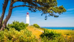 Leuchtturm Dornbusch Hiddensee 