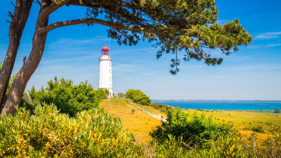 Leuchtturm Dornbusch Hiddensee 