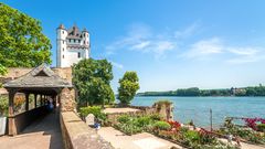 Eltville am Rhein Reingau