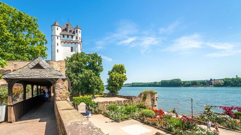 Eltville am Rhein Reingau