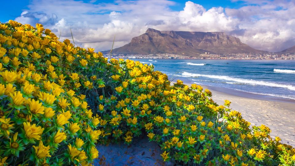 Blick auf den Tafelberg und Kapstadt