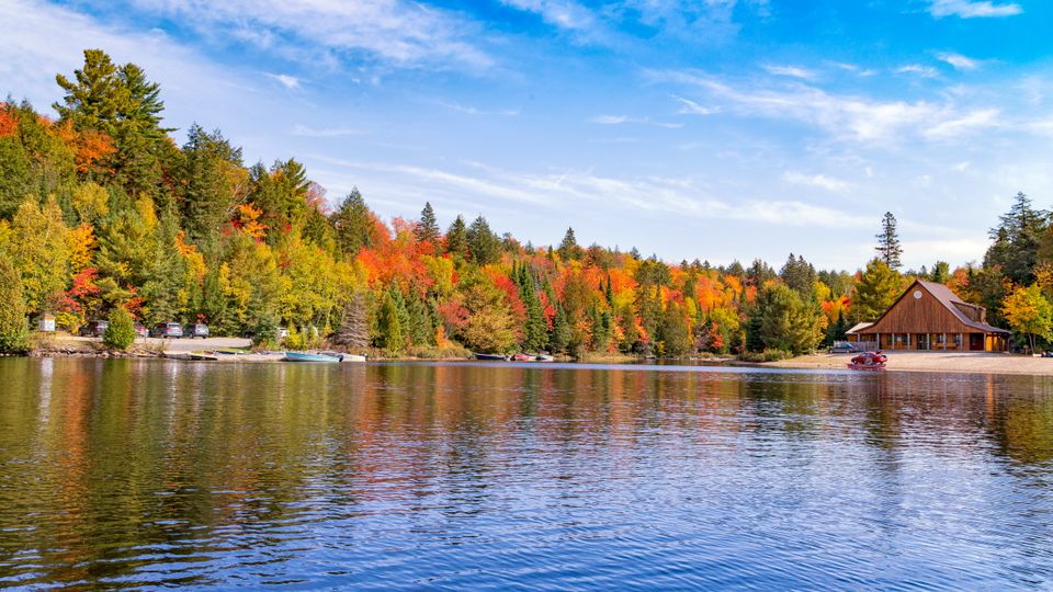 Algonquin Herbst