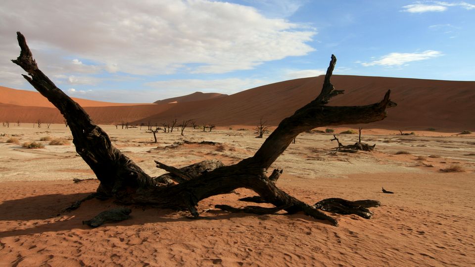 Deadvlei