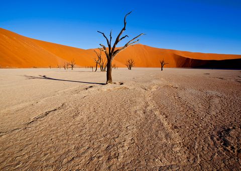 Sossusvlei Namibia ©francoisloubser, AdobeStock Sossusvlei Namibia
