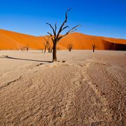 Sossusvlei Namibia ©francoisloubser, AdobeStock Sossusvlei Namibia