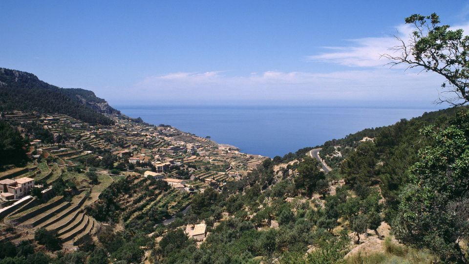 Landschaft Mallorca