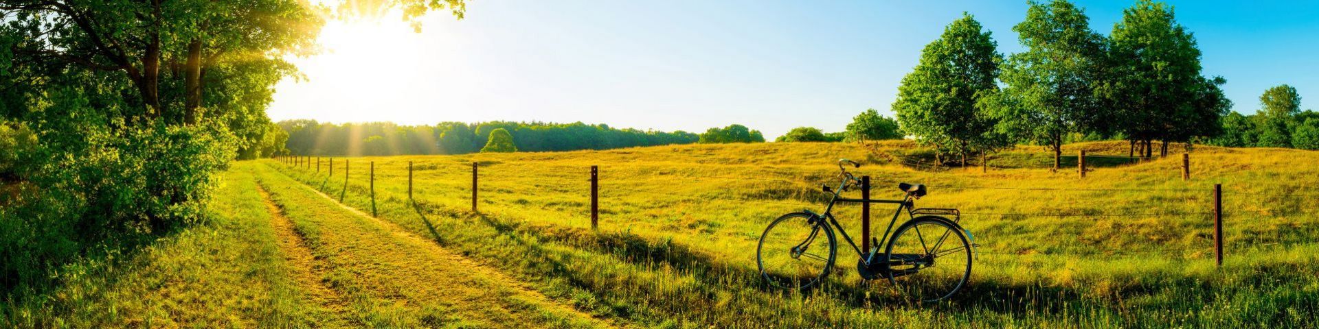 Sommerliche Landschaft bei einer Radreise mit sz-Reisen