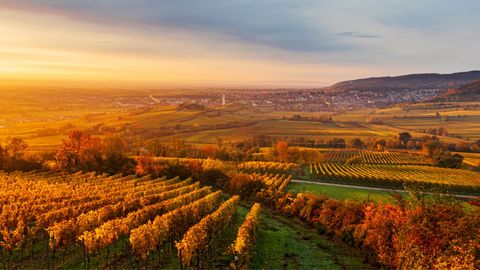 Sonnenuntergang bei einer Herbstreise mit sz-Reisen