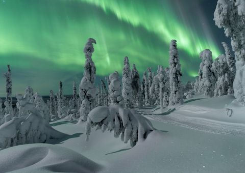 Aurora 